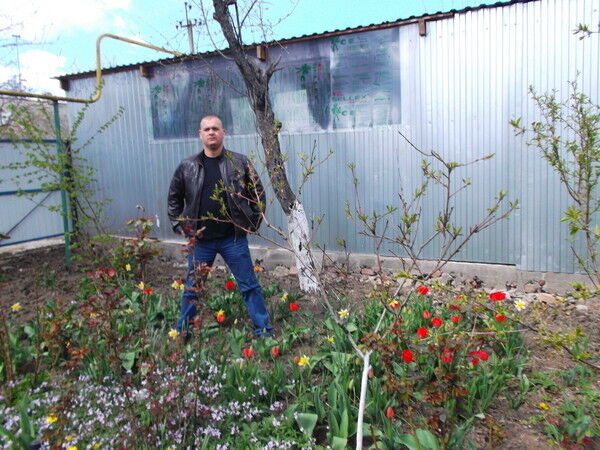 ���� 9029187 ������� ���������, 38 ���, ���� ���������� � ���������-��-������