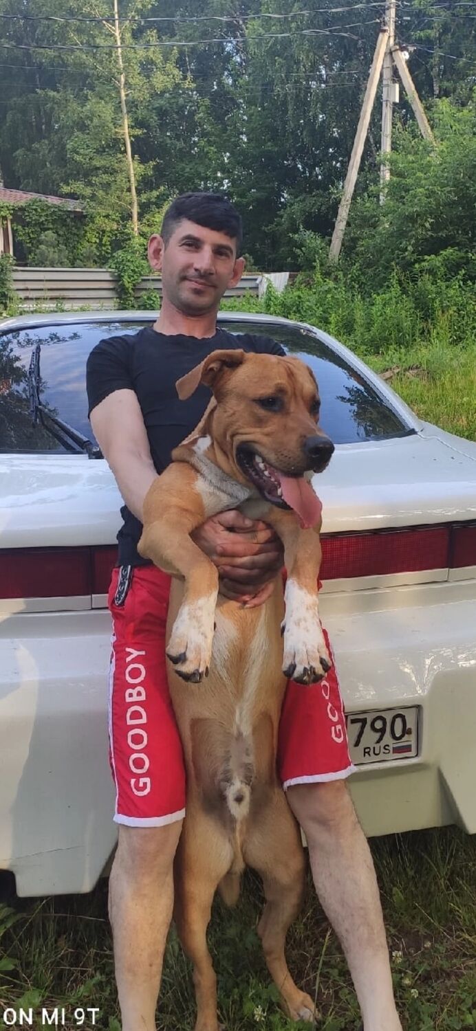 ���� 46184827 ������� ���, 37 ���, ���� ���������� � �������������