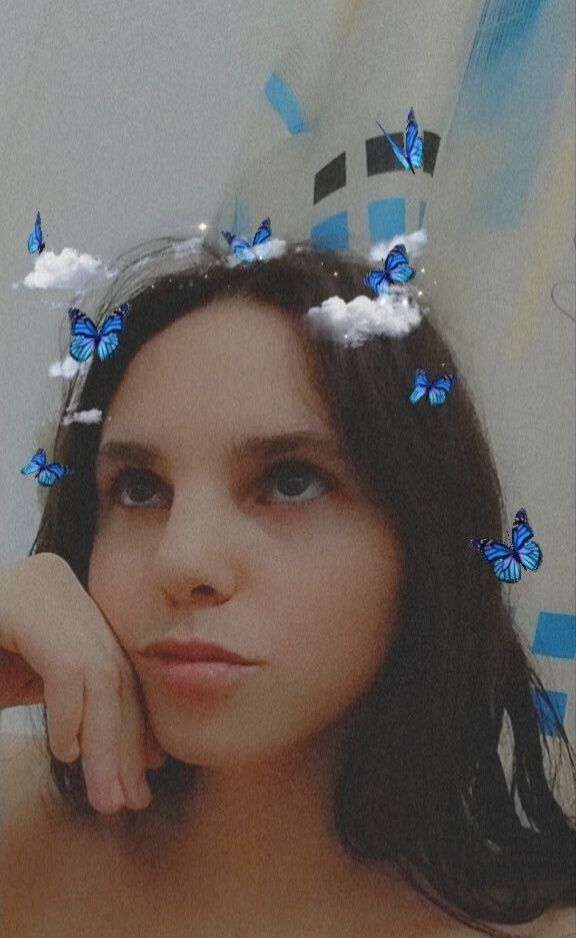  40442137  , 24 ,    