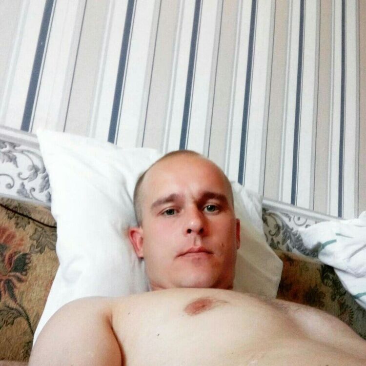  43799377  , 40 ,    