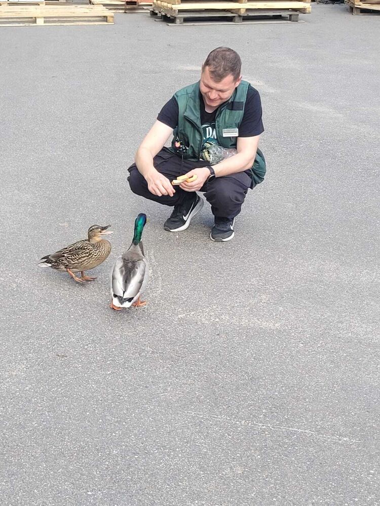 ���������� ������, ���� ������� Andrey, 32 ����, ������������ ��� ����� � ���������, c�������� ���������