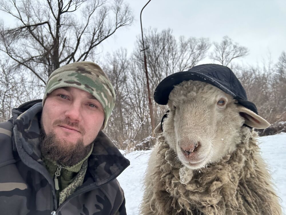 ���������� ������-��-����, ���� ������� ����, 35 ���, ������������ ��� ������, ����� � ���������