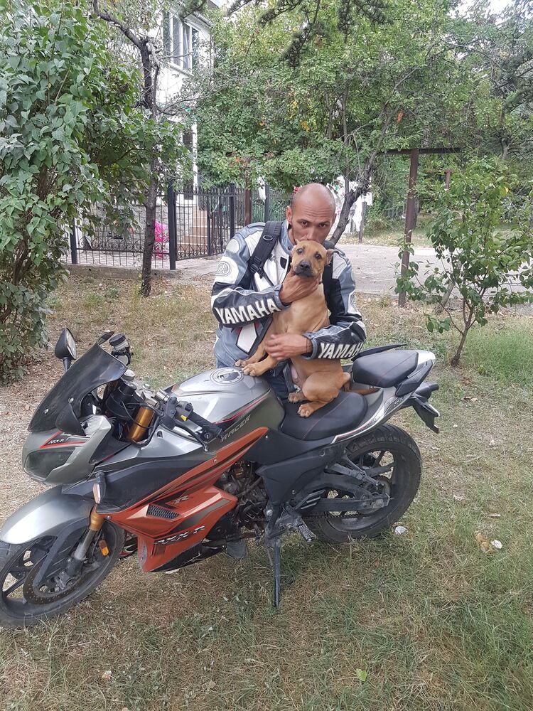 ���� 30875337 ������� ���������, 36 ���, ���� ���������� � ��������