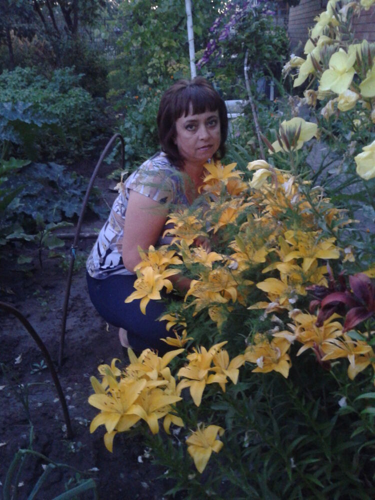  ,   , 56 ,  