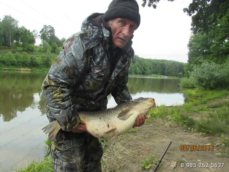 ���� 24317347 ������� ������, 62 ����, ���� ���������� � ������