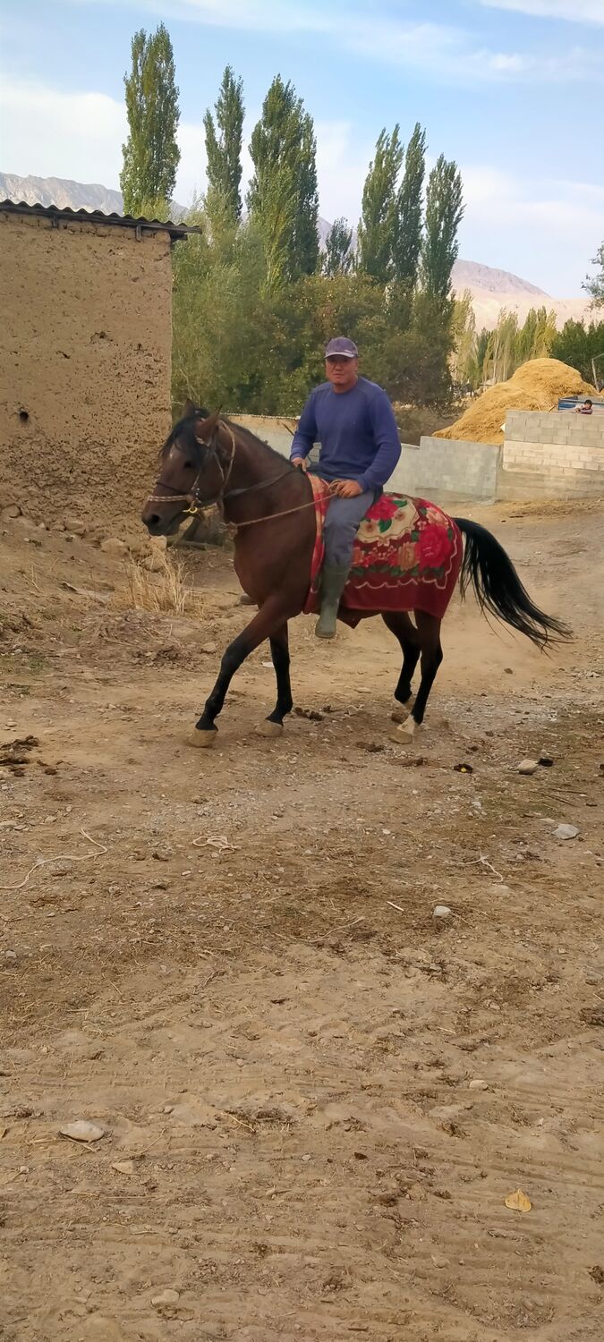 ���� 47806257 ������� ��������, 40 ���, ���� ���������� � ������