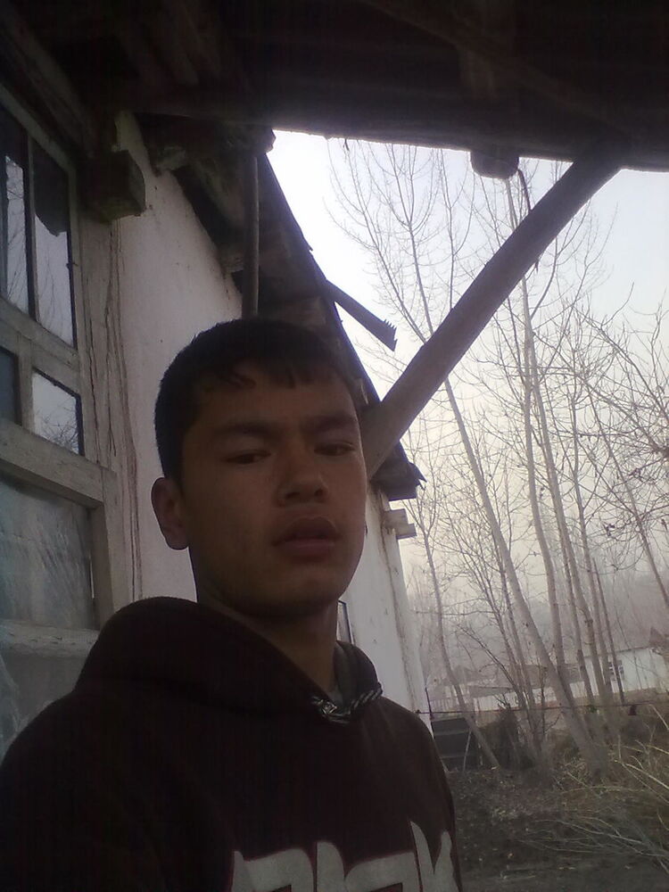  ,   XABIBILLO, 29 ,   