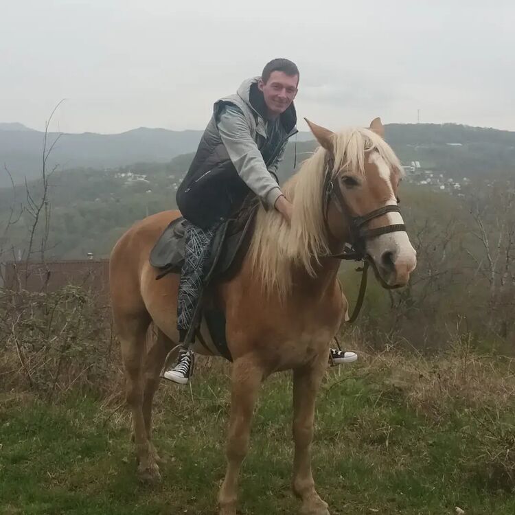 ���� 34067727 ������� �����, 40 ���, ���� ���������� � ���������