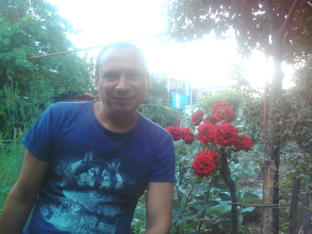 ���������� ������, ���� ������� ��������, 38 ���, ������������ ��� ������, ����� � ���������, c�������� ���������