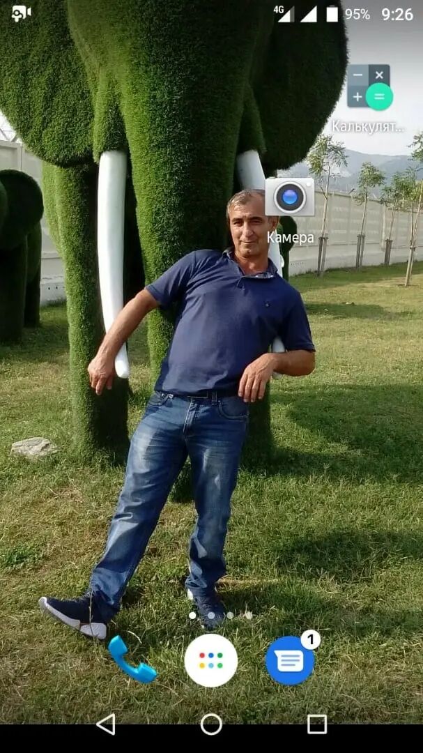 31199427  , 50 ,    