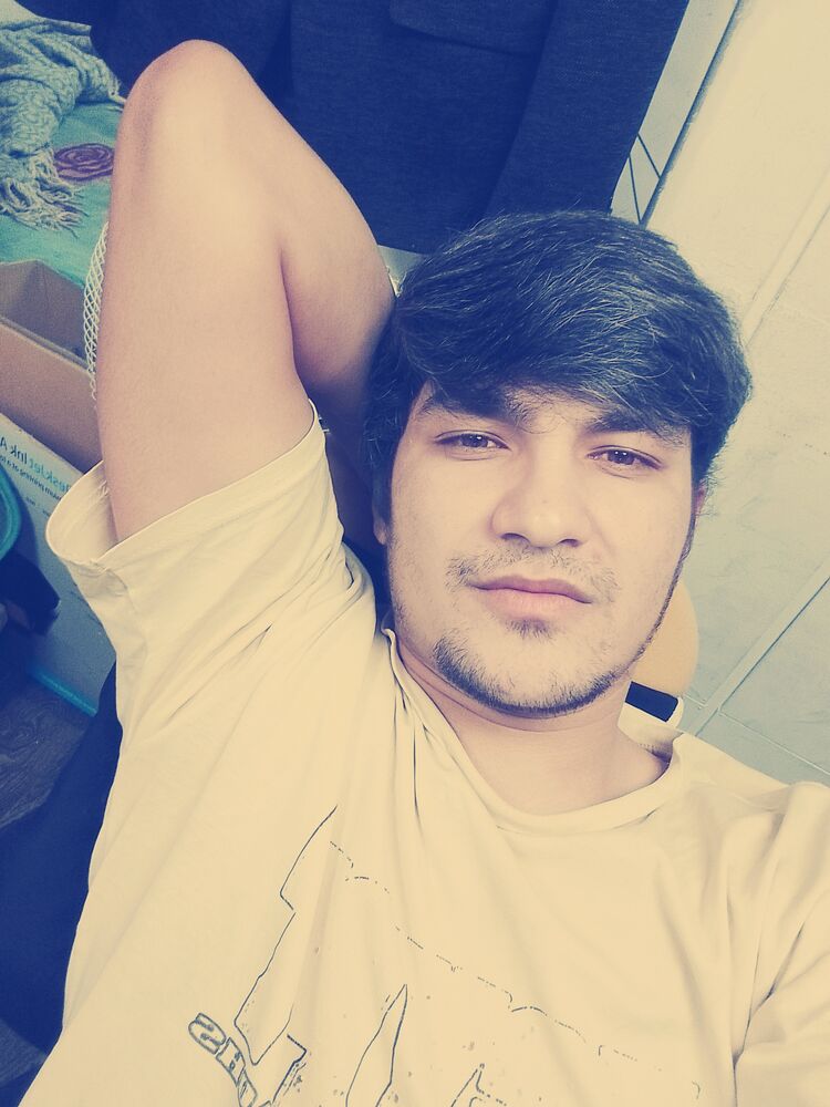  43827797  , 27 ,    -