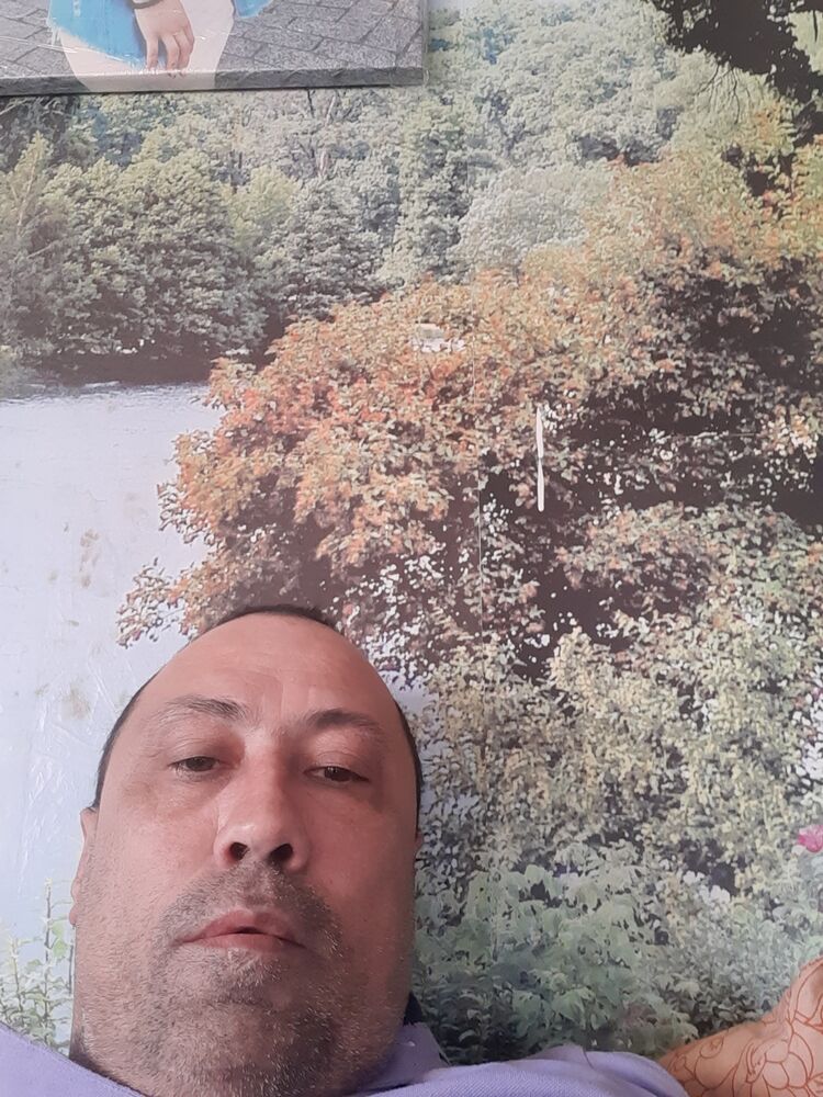  33697047  , 50 ,    