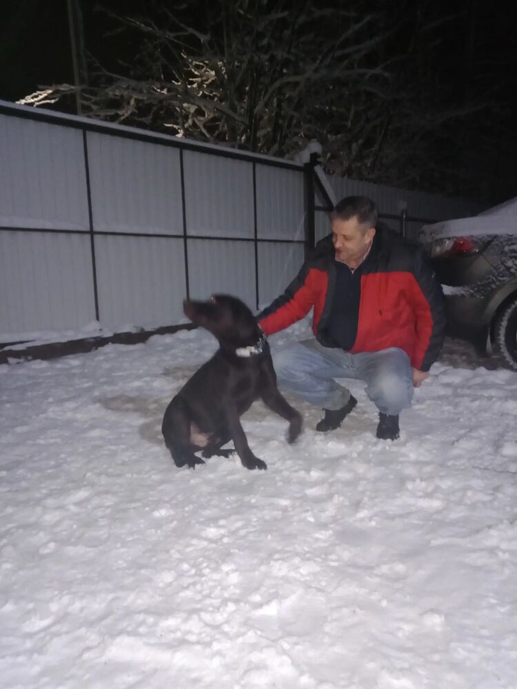 ���� 34889667 ������� �������, 55 ���, ���� ���������� � �����-����������