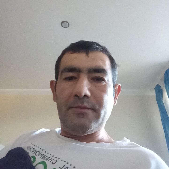  41166167  , 43 ,    