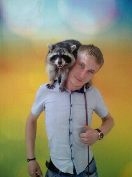 ���������� �����������, ���� ������� �����, 32 ����, ������������ ��� ������, ����� � ���������, c�������� ���������, ���������