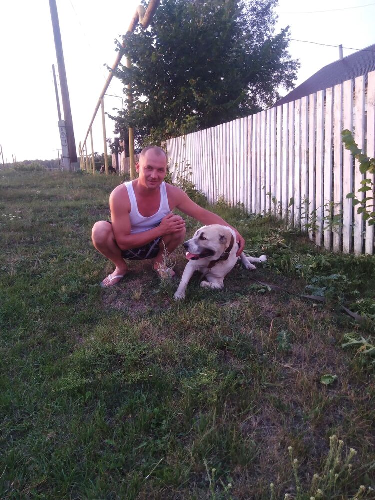 ���� 56057167 ������� �������, 44 ����, ���� ���������� � ������������