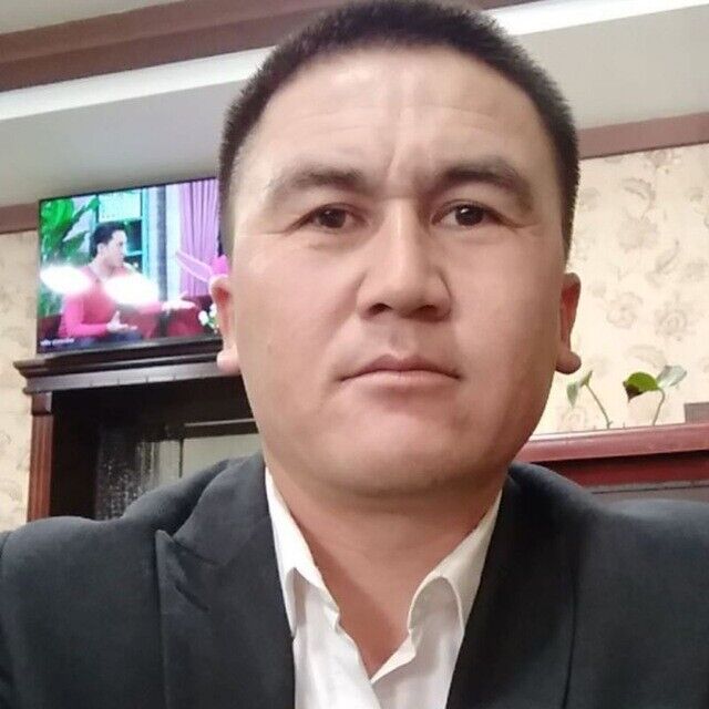 ���� 20664017 ������� Tolqin, 41 ���, ���� ���������� � ��������