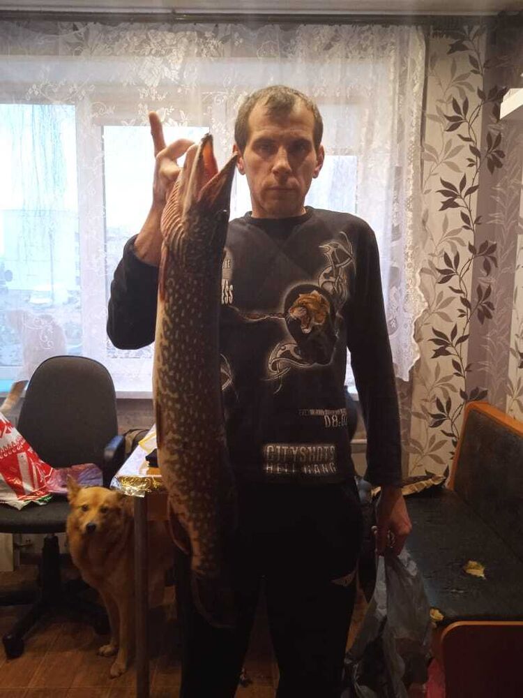 ���� 23400347 ������� ��������, 41 ���, ���� ���������� � �������