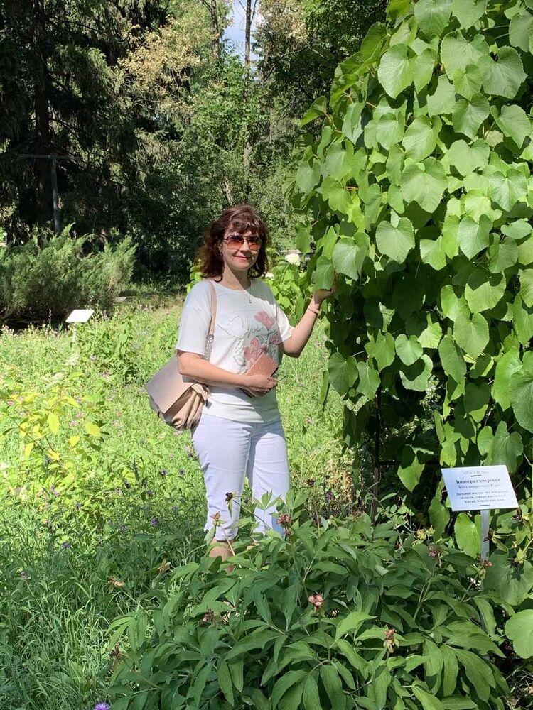 ���� 49068157 ������� ��������, 45 ���, ���� ���������� � ������