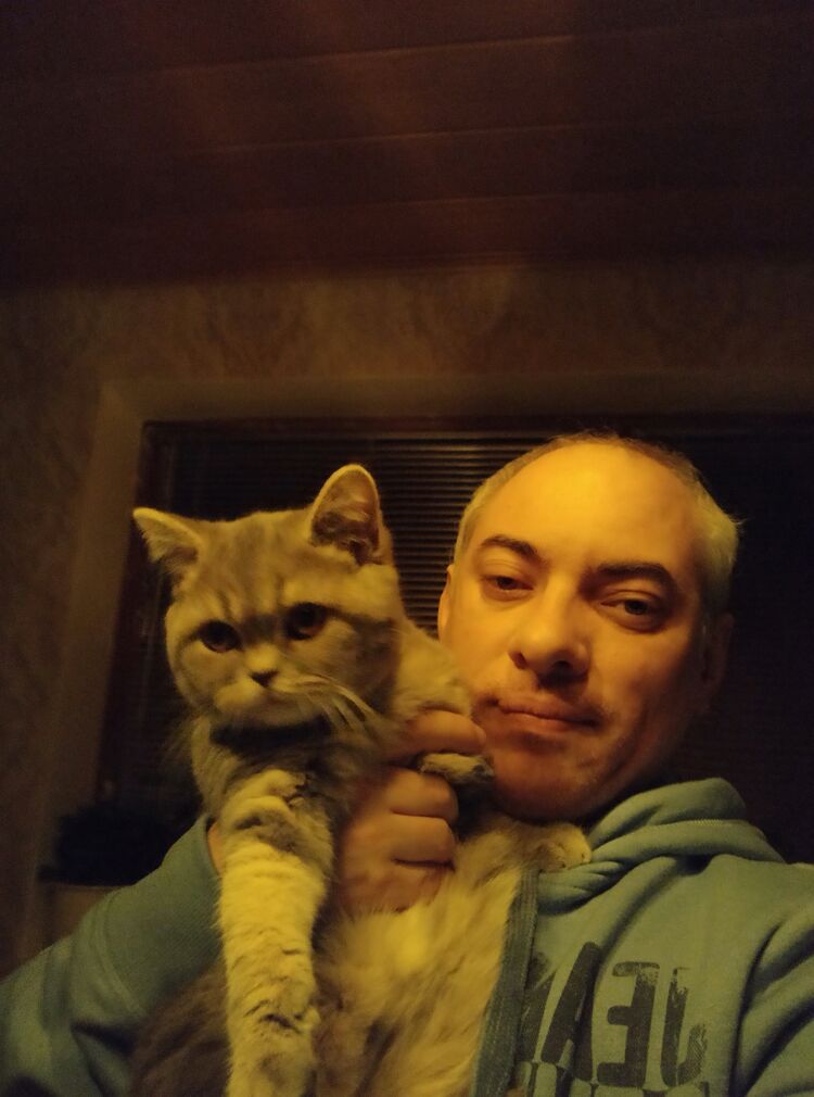  Flensburg,   , 41 ,   ,   , c , 
