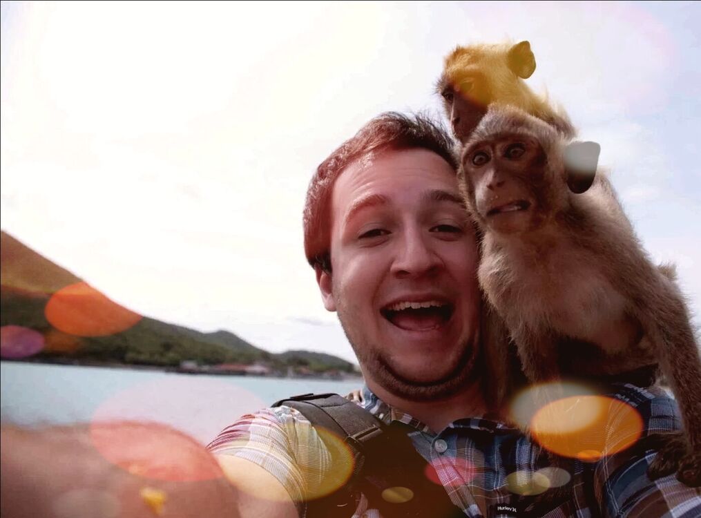 ���� 34116267 ������� ����, 42 ����, ���� ���������� � ������