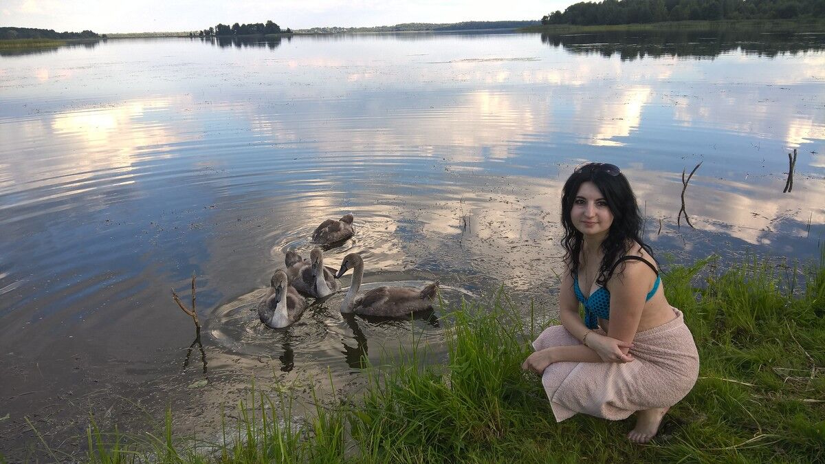 ���������� �����, ���� ������� �������, 36 ���, ������������ ��� ������, ����� � ���������, c�������� ���������