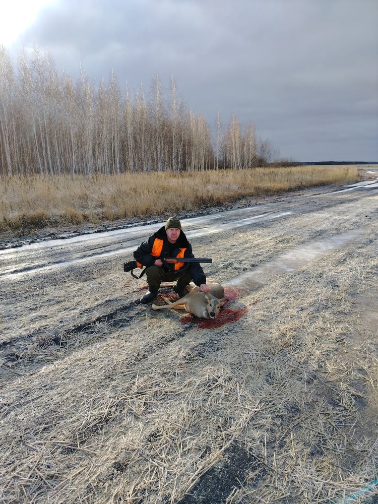 ���� 54648627 ������� �����, 58 ���, ���� ���������� � �������