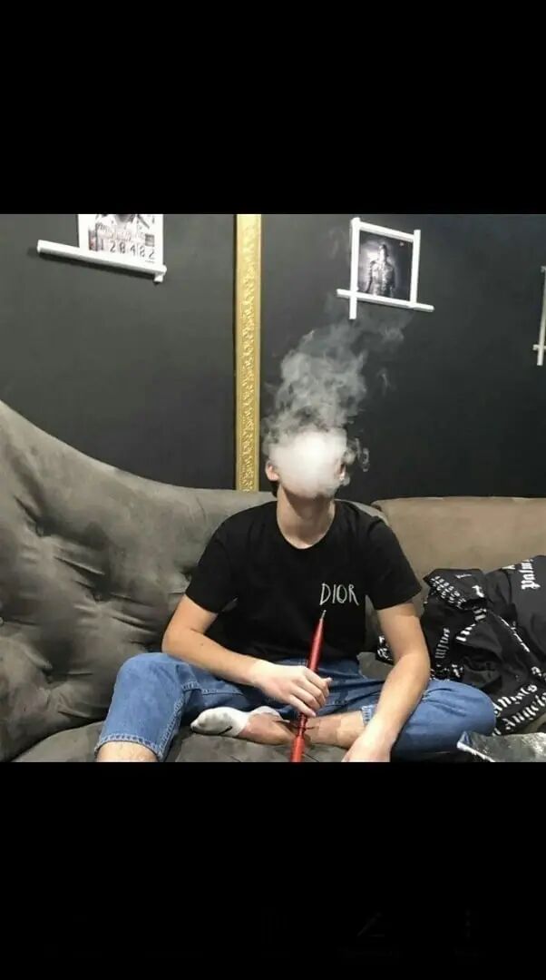  33241547  , 20 ,    
