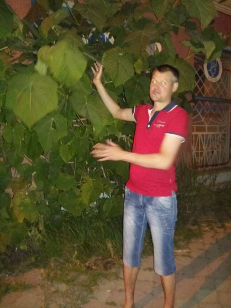 ���� 31355187 ������� ����, 43 ����, ���� ���������� � ��������