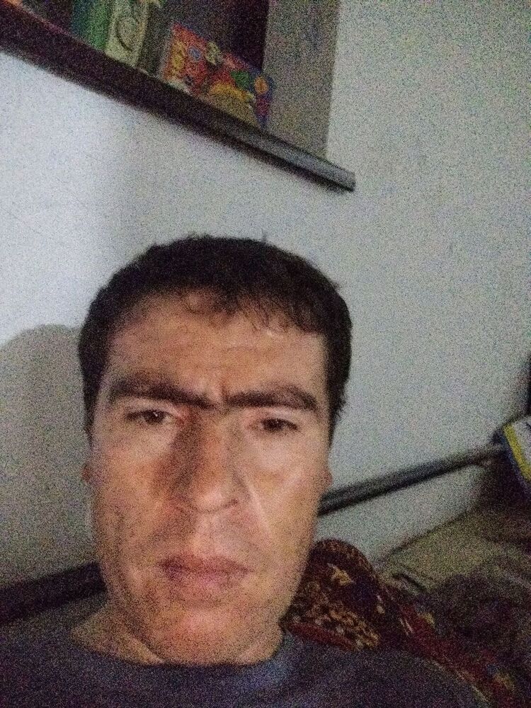 ���� 50817677 ������� ����, 37 ���, ���� ���������� � ���������