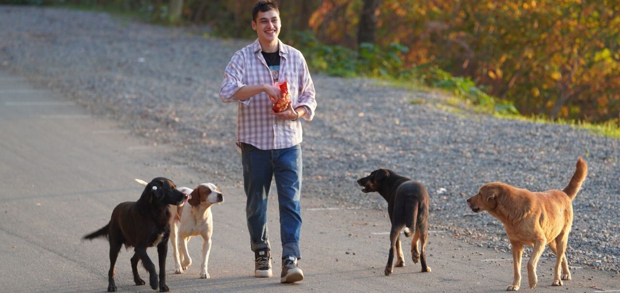 ���������� �����, ���� ������� �������, 28 ���, ������������ ��� ������, ����� � ���������