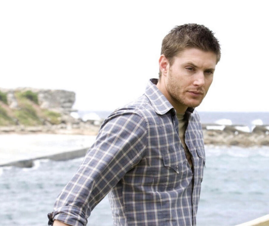 ���� 42640427 ������� ������, 32 ����, ���� ���������� � ��������