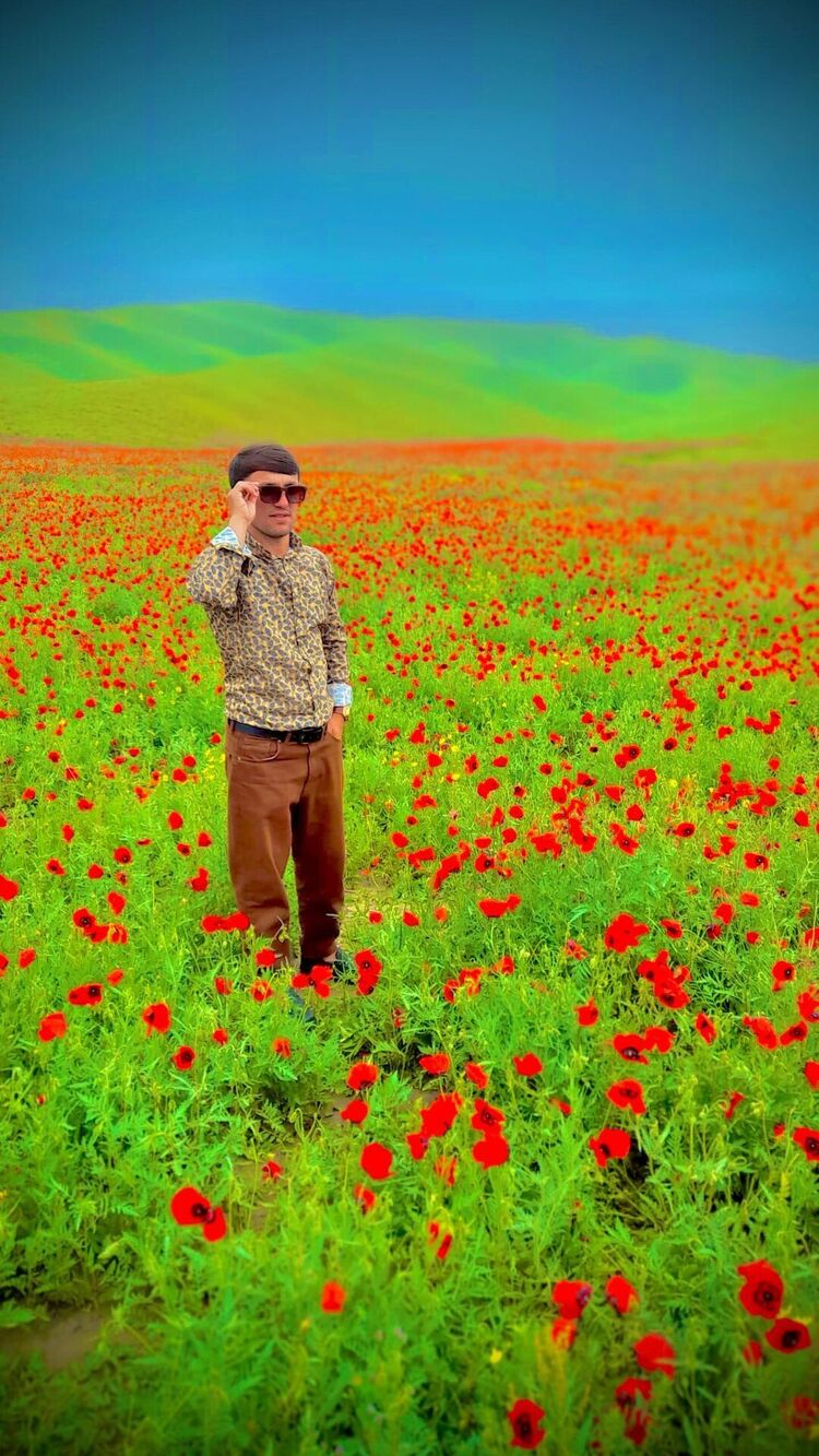 ���������� ������, ���� ����� Komron, 24 ����, ������������ ��� ������, ����� � ���������