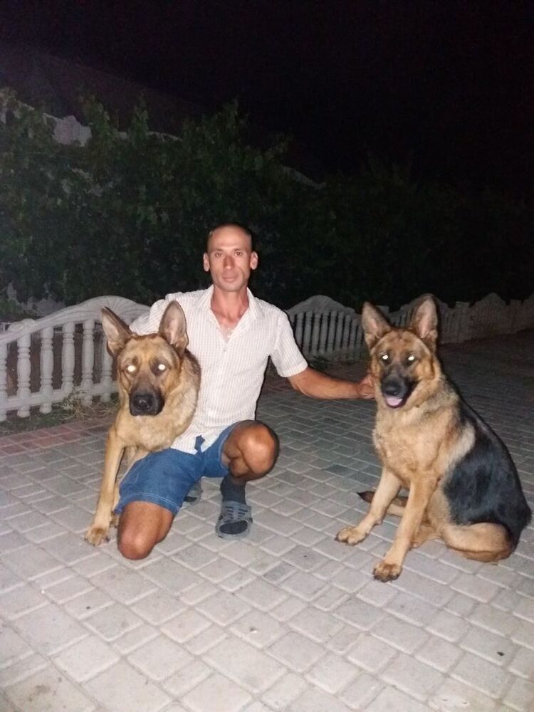 ���������� ����������, ���� ������� �������, 39 ���, ������������ ��� ������, ����� � ���������, c�������� ���������, ���������