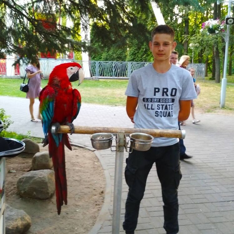  ,   , 24 ,   ,   , c 