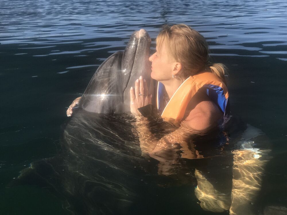 ���������� ������, ���� ������� �����, 47 ���, ������������ ��� ����� � ���������, c�������� ���������