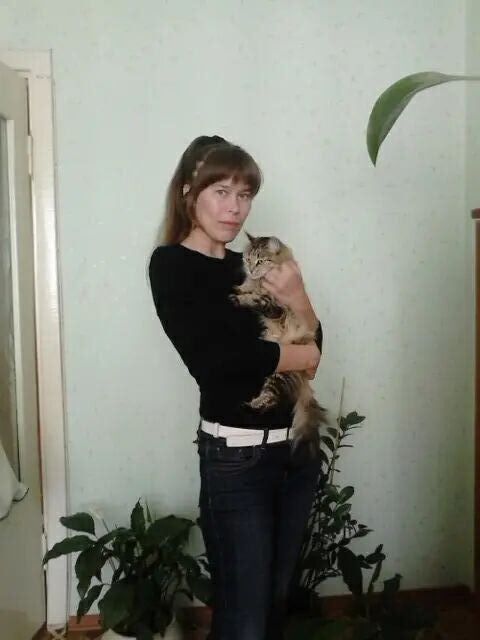 ���������� ������, ���� ������� ��������, 38 ���, ������������ ��� ���������