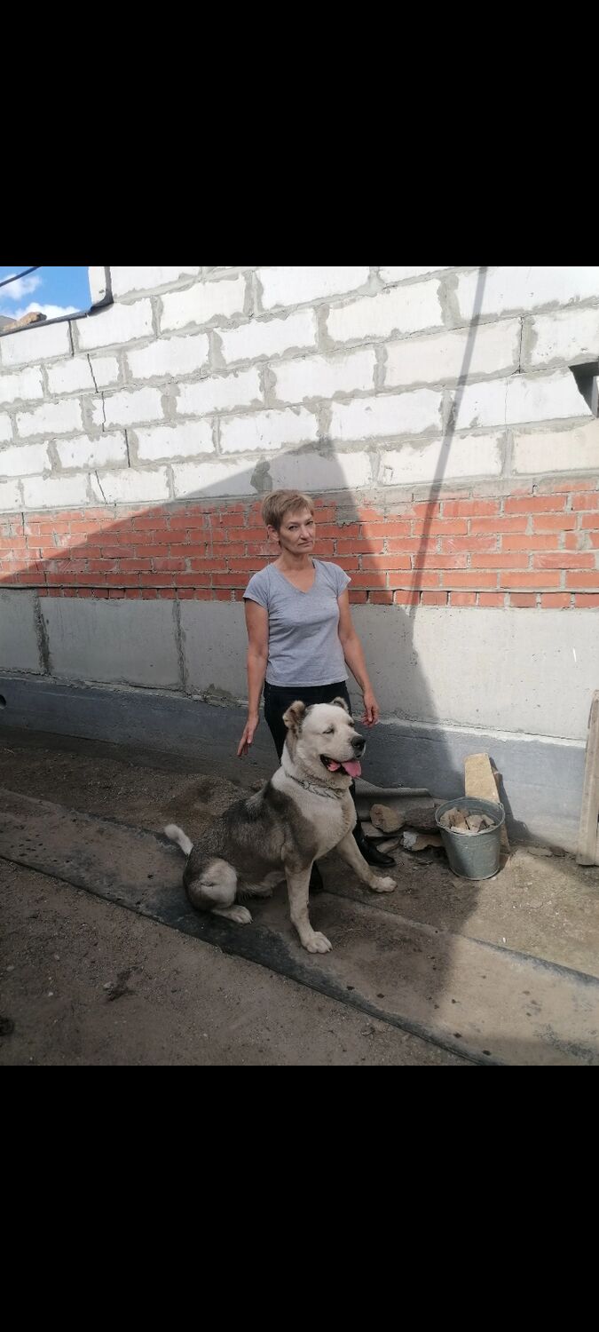  ,   , 56 ,   