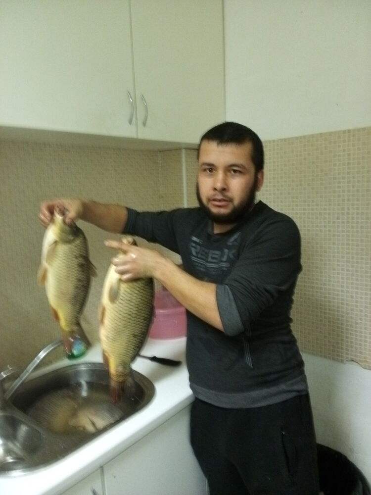 ���� 31592737 ������� ���������, 34 ����, ���� ���������� � ������