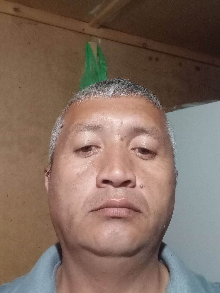  50868797  , 43 ,    
