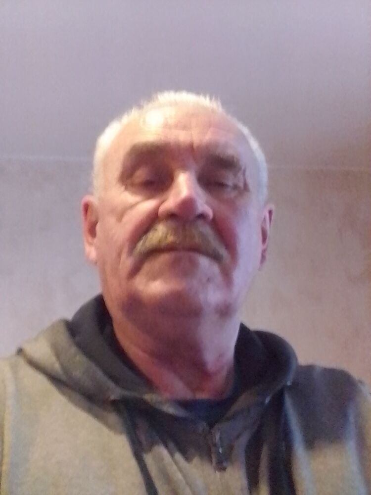  31295517  , 72 ,    -