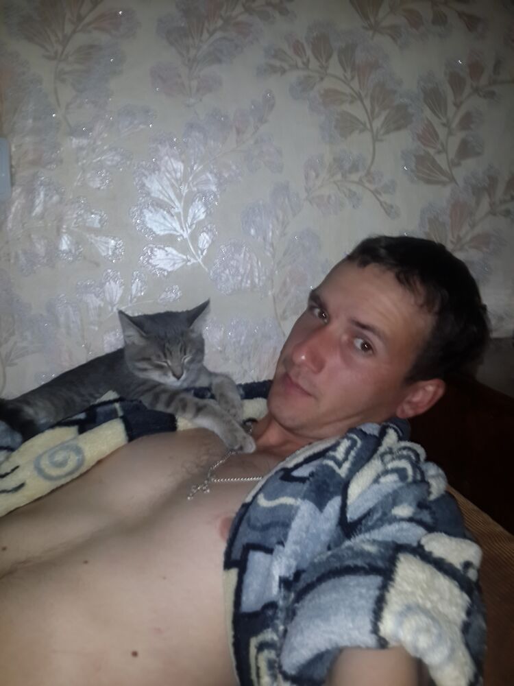  40638557  , 37 ,    