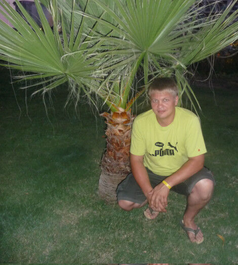 ���� 5650997 ������� ���, 47 ���, ���� ���������� � �����