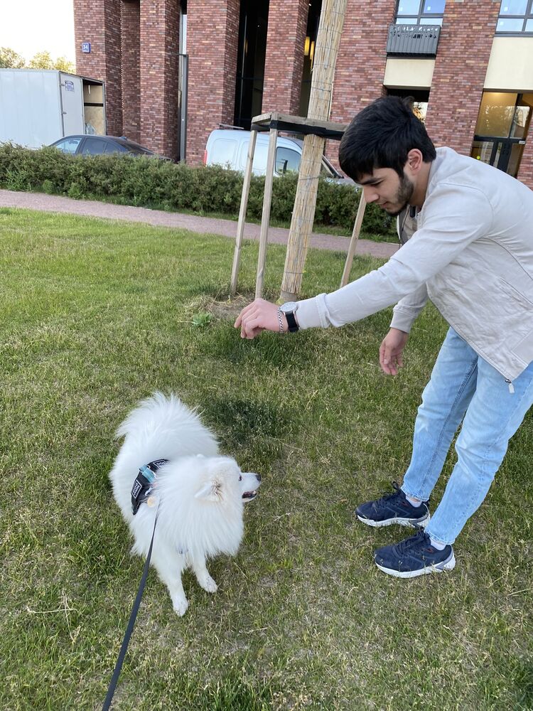 ���������� ������, ���� ������� ����, 27 ���, ������������ ��� ������, ����� � ���������, c�������� ���������, ���������