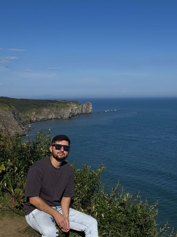  53933367  , 29 ,    -