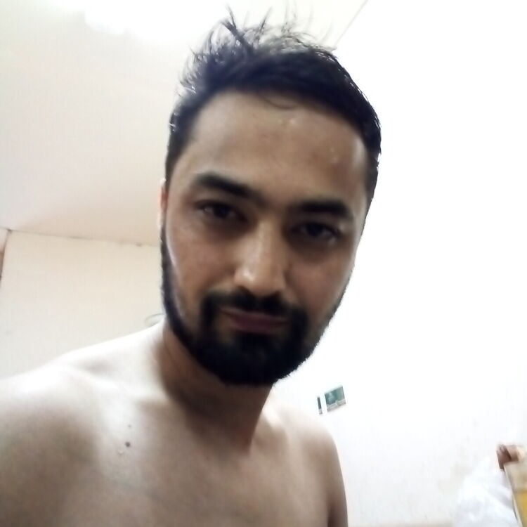 ���� 21676977 ������� Shoxa, 38 ���, ���� ���������� � �����������