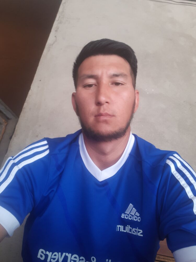  30994187  , 38 ,    