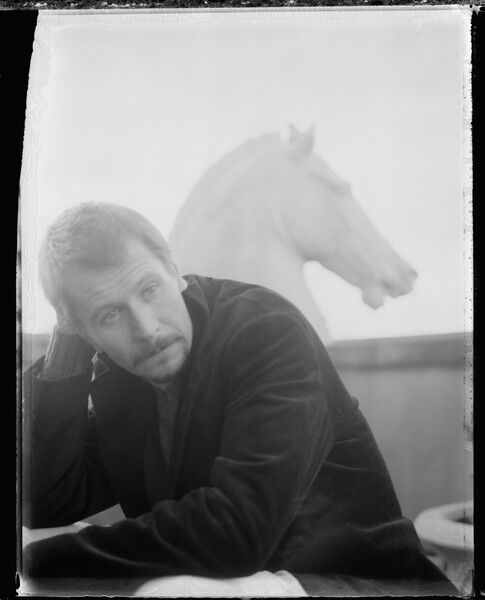 ���������� ���������, ���� ������� Sasha, 65 ���, ������������ ��� ������, ����� � ���������, c�������� ���������