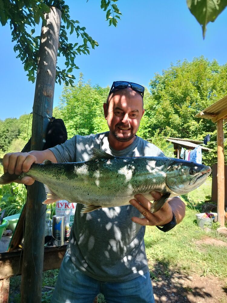 ���� 55263527 ������� ������, 43 ����, ���� ���������� � ������������