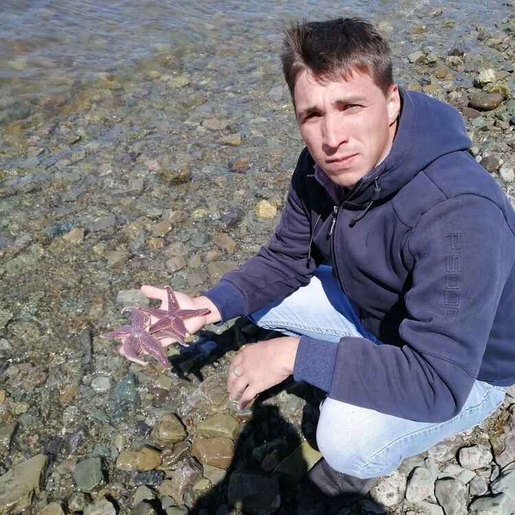  35708477  , 29 ,    